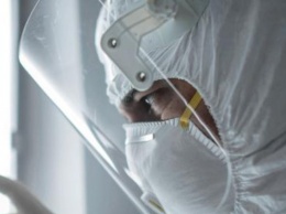 В Украине впервые зафиксировали случай хантавируса