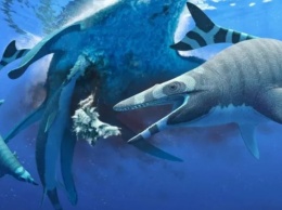В Африке обнаружили новый вид вымершей морской рептилии: Ее зубы напоминают пилу