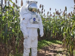 Внеземная еда: NASA выбирает лучшее космическое питание