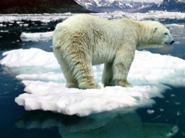 Более 60% жителей планеты считают изменения климата «чрезвычайной ситуацией»