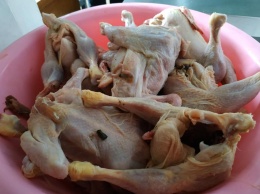 Синяя курятина и гнилая картошка: в Купянске - скандал из-за питания школьников