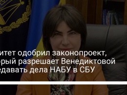 Комитет одобрил законопроект, который разрешает Венедиктовой передавать дела НАБУ в СБУ