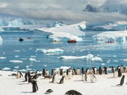 28 января отмечают День открытия Антарктиды и Павлов день