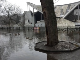 Не опять, а снова: в парке Глобы озеро "выплыло" из берегов (фото)