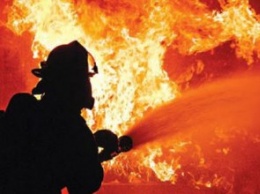 В Новомосковском районе 50-летний мужчина получил ожоги при пожаре в бытовом помещении