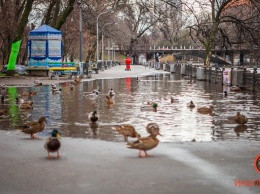 В Днепре вода снова вышла из озера и затопила парк Глобы