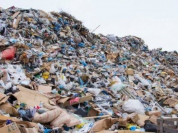 Коммунальщики Кривого Рога вывезли 11 кубометров мусора из центра микрорайона