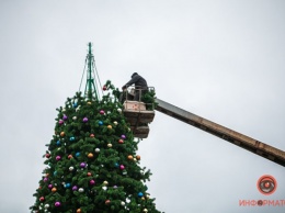 Последняя елка: в парке Глобы демонтировали новогоднюю красавицу (ФОТО)