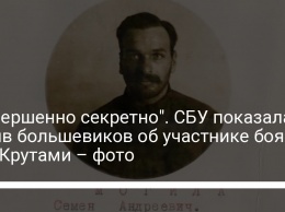 "Совершенно секретно". СБУ показала архив большевиков об участнике боя под Крутами - фото