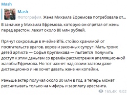 Ефремов перед арестом спрятал от жены 80 миллионов рублей