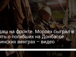 Чардаш на фронте. Морпех сыграл в память о погибших на Донбассе украинских венграх - видео