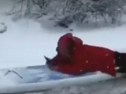 В Одессе устроили забавный заплыв по снегу: видео с серфингистом