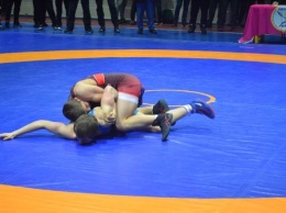 В Запорожье стартовал международный турнир по борьбе