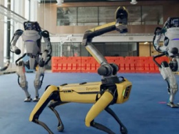 Робособаки от Boston Dynamics стали еще совершеннее: теперь они рисуют мелками и сажают цветы
