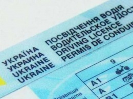 В Украине в водительских правах появятся новые отметки