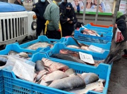 В Кривом Роге оштрафуют нелегальных торговцев рыбой