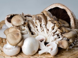 Ученые назвали вескую причину есть больше грибов