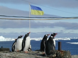 Интересные факты об украинской антарктической станции "Академик Вернадский"