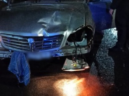Под Харьковом пьяный водитель сбил старушку