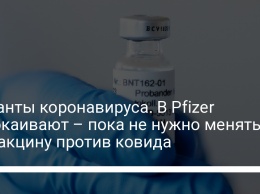 Мутанты коронавируса. В Pfizer успокаивают - пока не нужно менять их вакцину против ковида