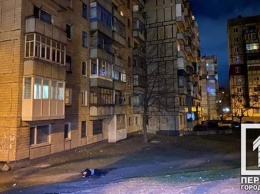 В Кривом Роге мужчина разбился после падения с девятого этажа