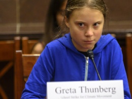 Грета Тунберг случайно слила в Сеть «методичку» по протестам в Индии