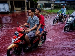 Индонезийскую деревню затопило "кровавой" водой