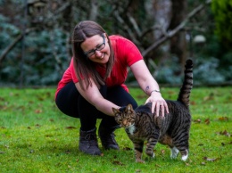 Британка уволилась с госслужбы, чтобы работать переводчиком с кошачьего