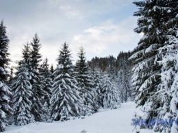 В Карпатах выпало больше метра снега, осадки ожидаются еще два дня