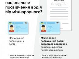 МВД: как получить международное водительское удостоверение