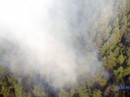 Объявили подозрение работникам ДСНС - тушили пожар в Луганской области только «на бумаге»