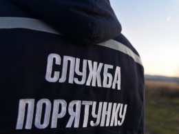 В Запорожской области сгорели трое «Жигулей» и «Ланос»
