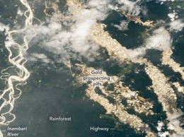 Карьеры от незаконной добычи золота в лесах Амазонии стало видно из космоса - NASA показало фото