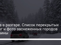 Зима в разгаре. Список перекрытых дорог и фото заснеженных городов Украины