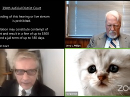 Во время судебного онлайн-заседания в Zoom один из юристов выступал в образе кота