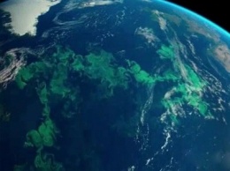 Водоросли в Тихом океане из космоса похожи на северное сияние