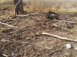 На Донбассе погибли трое воинов ВСУ - фото подрыва
