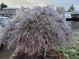 На Орегон налетел ледяной шторм: сотни тысяч людей остались без света