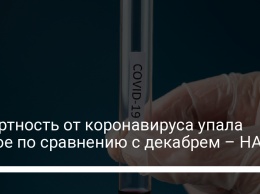 Смертность от коронавируса упала вдвое по сравнению с декабрем - НАН