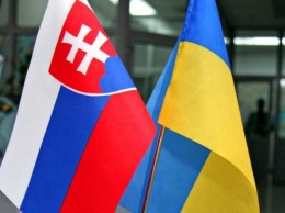 Украину сегодня посетит руководитель дипломатии Словакии