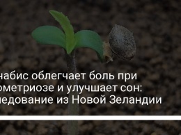 Каннабис облегчает боль при эндометриозе и улучшает сон: исследование из Новой Зеландии