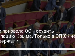 Рада призвала ООН осудить оккупацию Крыма. Только в ОПЗЖ не поддержали
