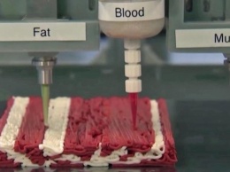 Израильский стартап будет печатать «мясо» на 3D-принтерах