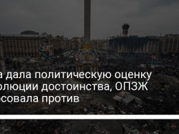 Рада дала политическую оценку Революции достоинства, ОПЗЖ голосовала против