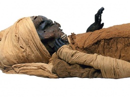 Погиб из-за бегемотов: археологи установили точные причины смерти египетского фараона (ФОТО)