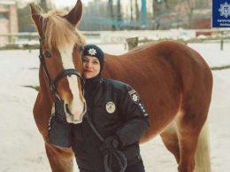 Коня взяли на службу в полицию