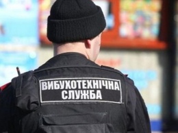 Замерзшие дети ютились в кафе и супермаркетах: в Киеве "заминировали" элитную школу
