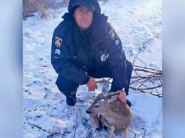 В Днепропетровской области полицейские спасли раненую косулю