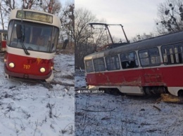В Харькове трамвай сбил дерево и столб, есть пострадавшая (фото)