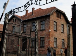 Немецкие прокуроры расследуют семь дел по убийствам в нацистских лагерях смерти